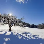 Gaestehaus Pfnuerlehen - Wiesenblick * ベルヒテスガーデン