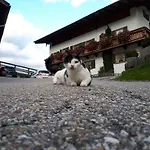 Gaestehaus Pfnuerlehen