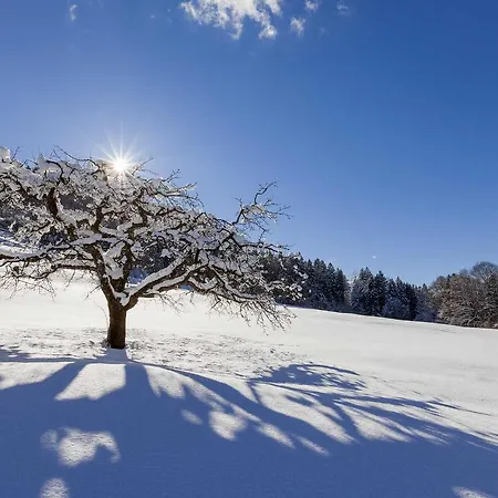 Gaestehaus Pfnuerlehen * Berchtesgaden