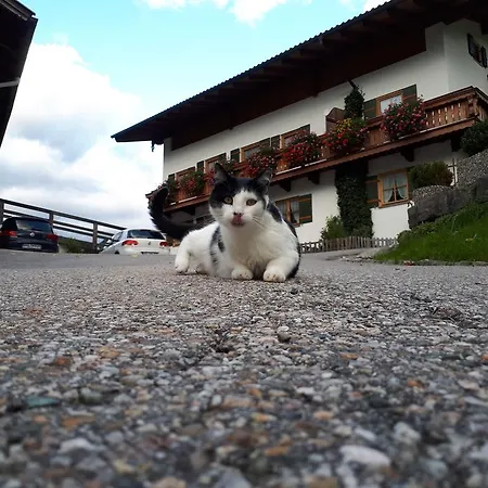 Gaestehaus Pfnuerlehen