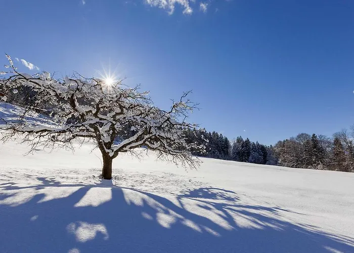 Gaestehaus Pfnuerlehen * Berchtesgaden