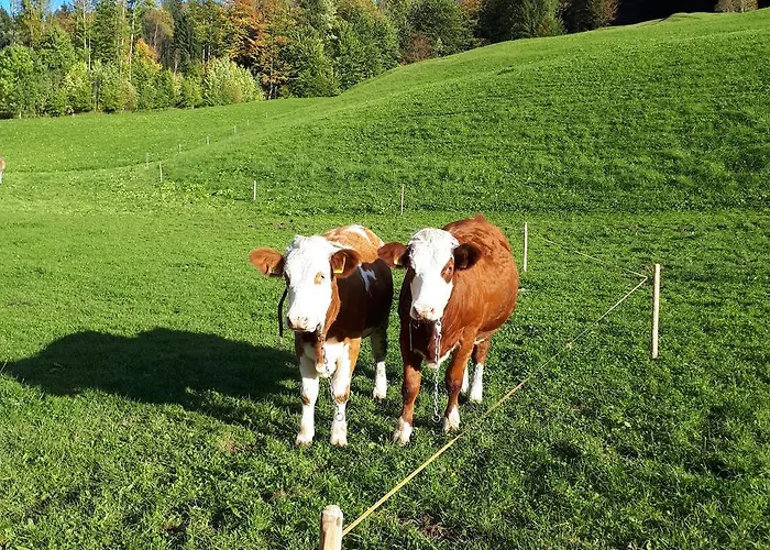 Appartement Gaestehaus Pfnuerlehen Berchtesgaden