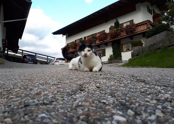 Gaestehaus Pfnuerlehen